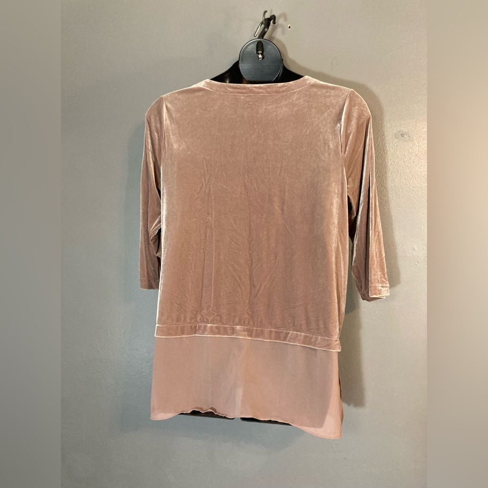 Alfani Rose Gold Velvet Sheer Bottom Blouse - Picture 5 of 5